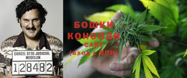 спиды Горняк