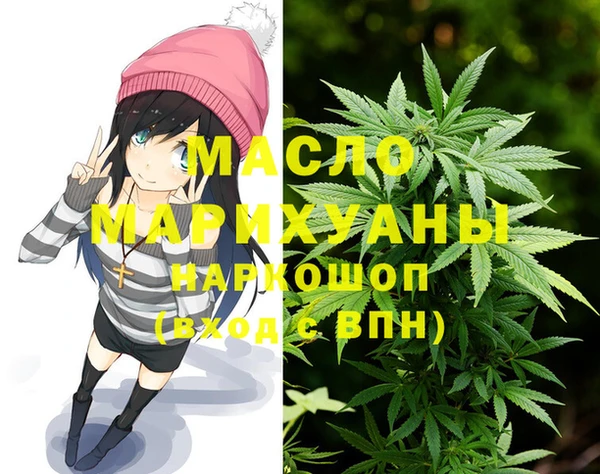 спиды Горняк