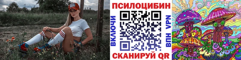 магазин  наркотиков  Норильск  кракен ссылки  Псилоцибиновые грибы прущие грибы 